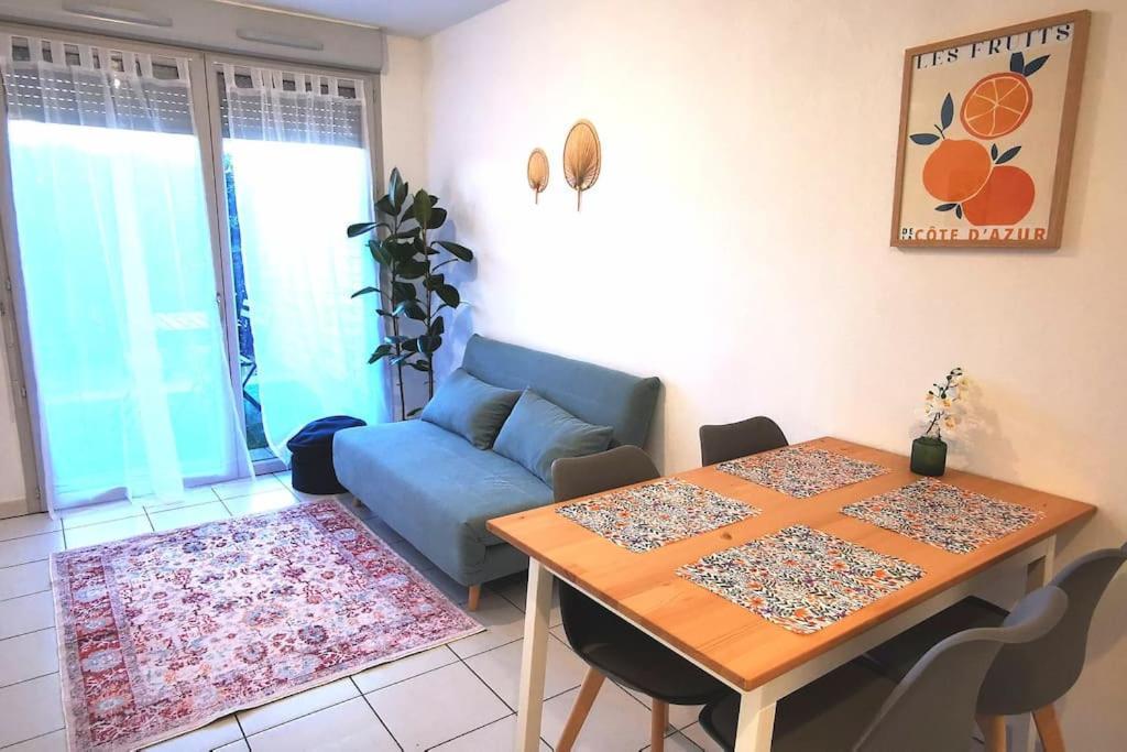 טולוז Grand Studio Lumineux Et Sa Terrasse Au Calme מראה חיצוני תמונה