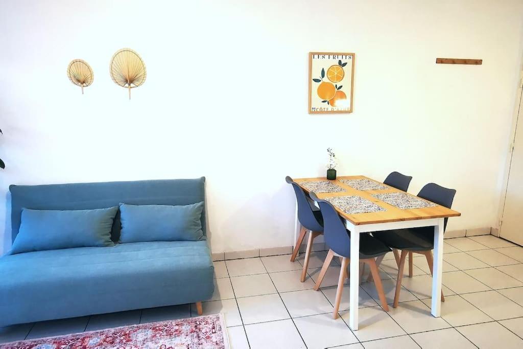 טולוז Grand Studio Lumineux Et Sa Terrasse Au Calme מראה חיצוני תמונה