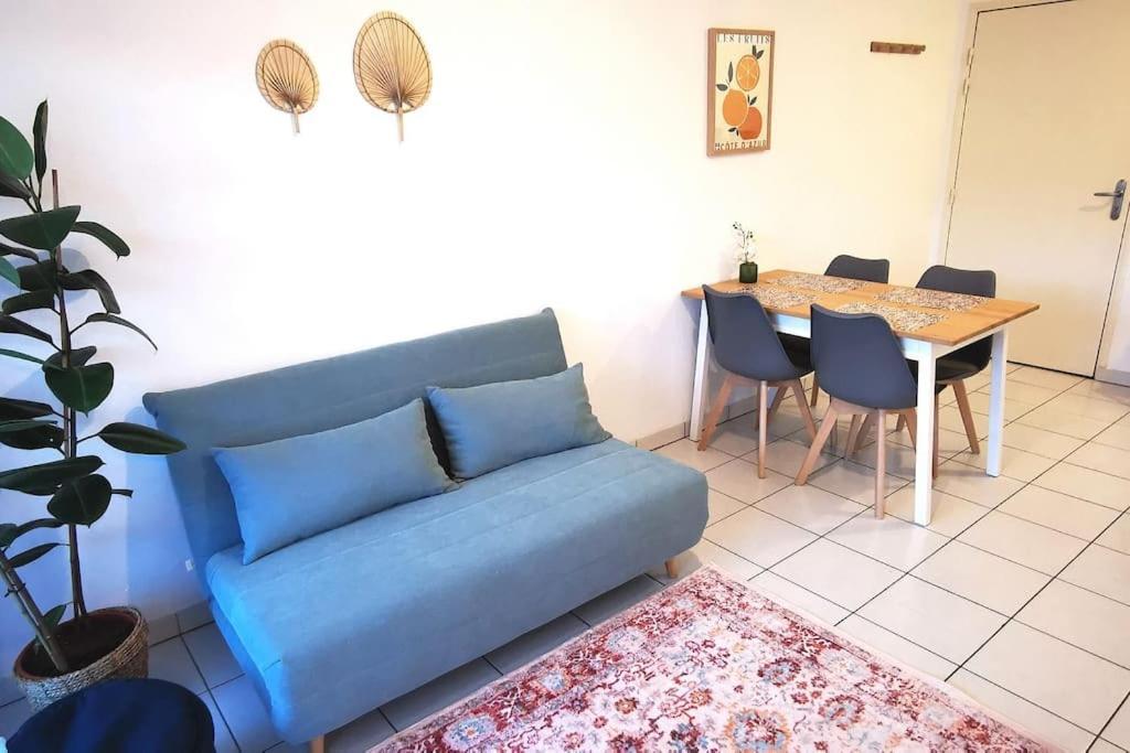 טולוז Grand Studio Lumineux Et Sa Terrasse Au Calme מראה חיצוני תמונה