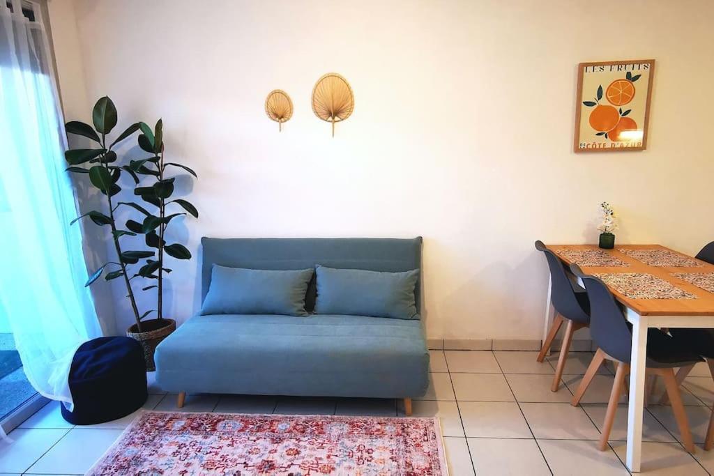 טולוז Grand Studio Lumineux Et Sa Terrasse Au Calme מראה חיצוני תמונה